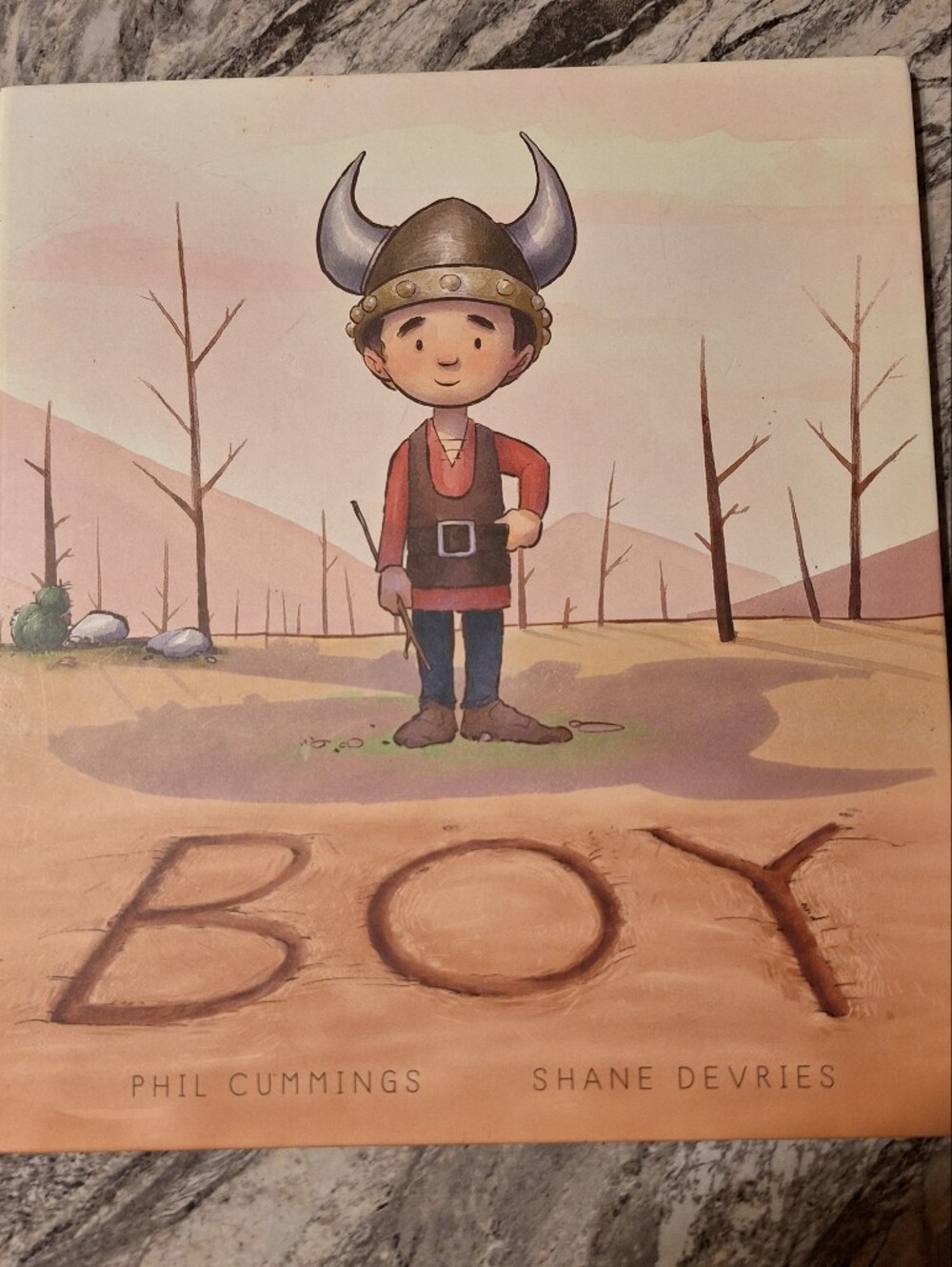 Boy Book